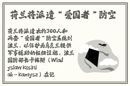 英语老师的兔子好大好好吃免费